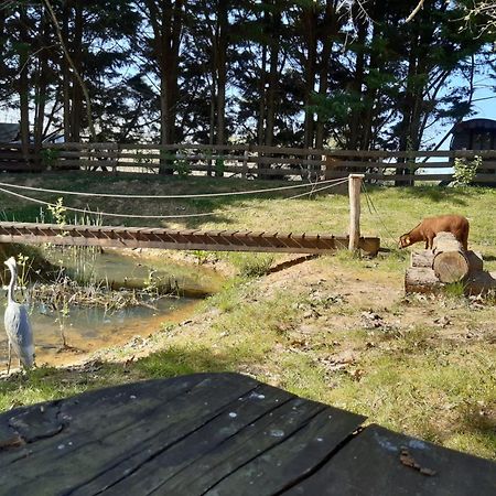 Saint-Vincent-en-Bresse Tente Trappeur Ada, Au Jardin De La Vouivre מראה חיצוני תמונה