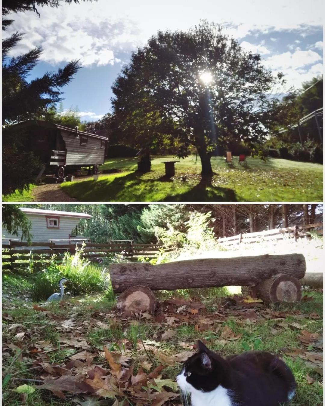Saint-Vincent-en-Bresse Tente Trappeur Ada, Au Jardin De La Vouivre מראה חיצוני תמונה
