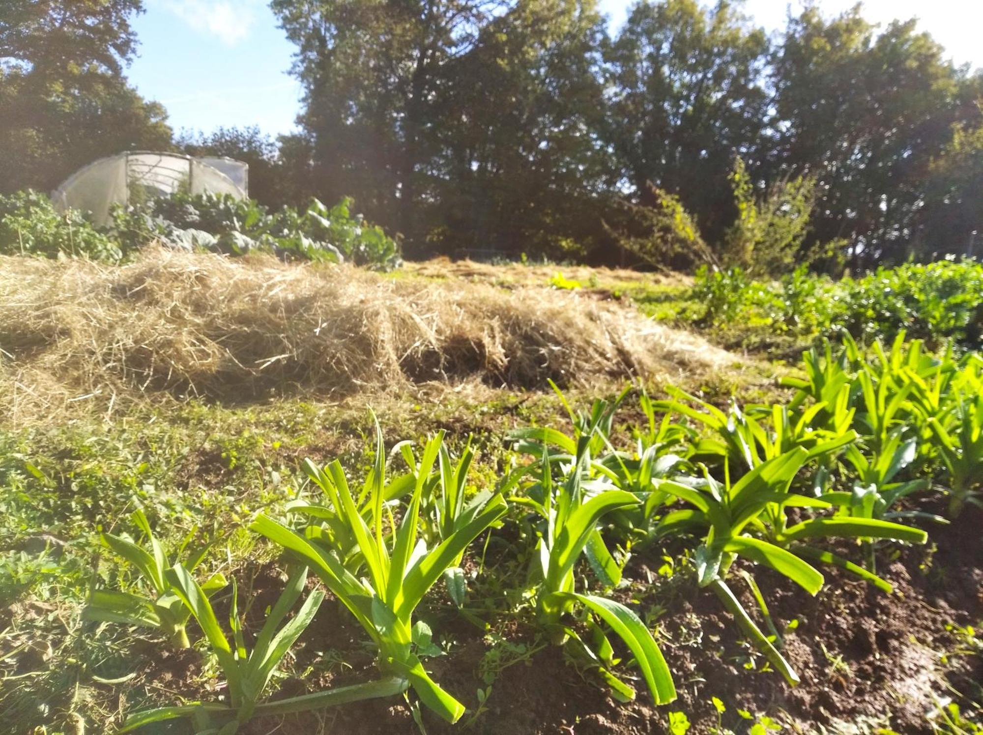Saint-Vincent-en-Bresse Tente Trappeur Ada, Au Jardin De La Vouivre מראה חיצוני תמונה