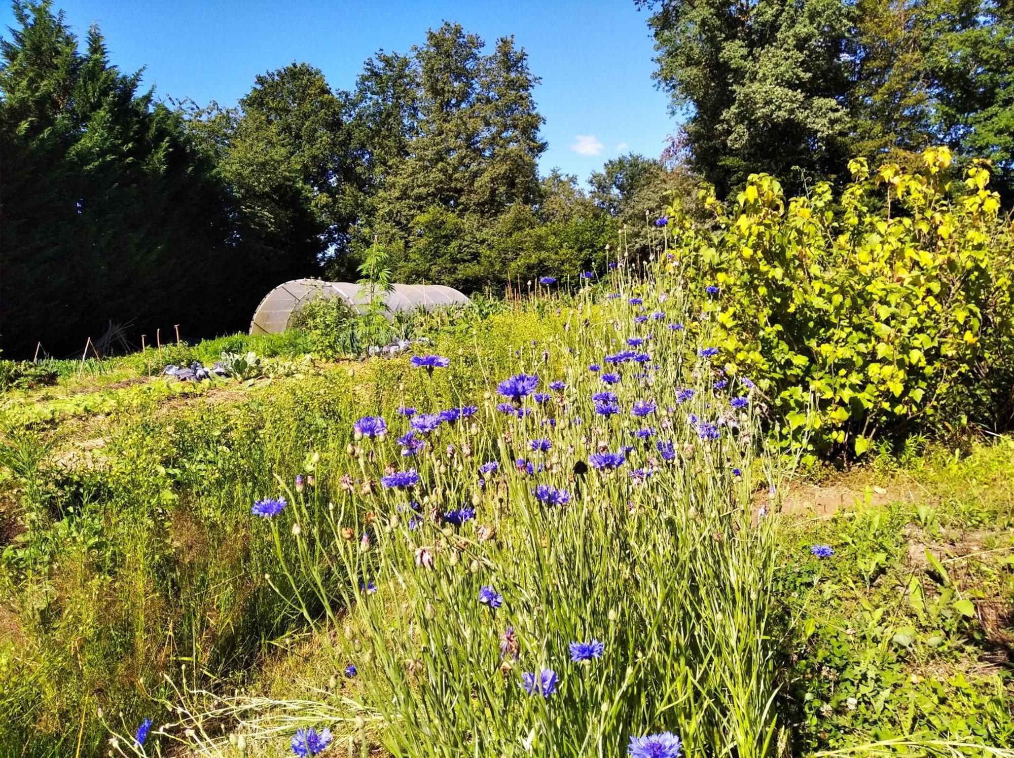 Saint-Vincent-en-Bresse Tente Trappeur Ada, Au Jardin De La Vouivre מראה חיצוני תמונה