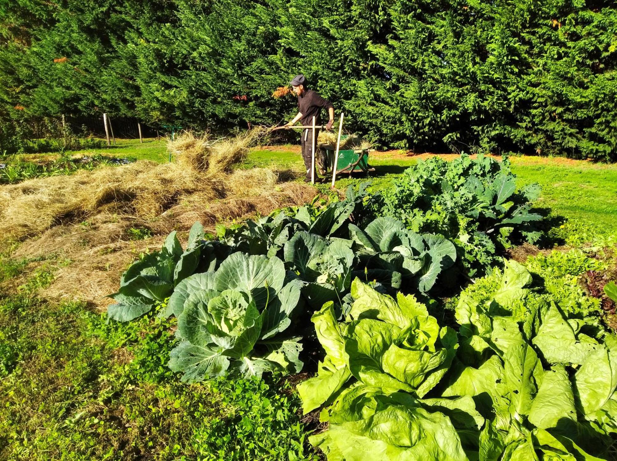 Saint-Vincent-en-Bresse Tente Trappeur Ada, Au Jardin De La Vouivre מראה חיצוני תמונה