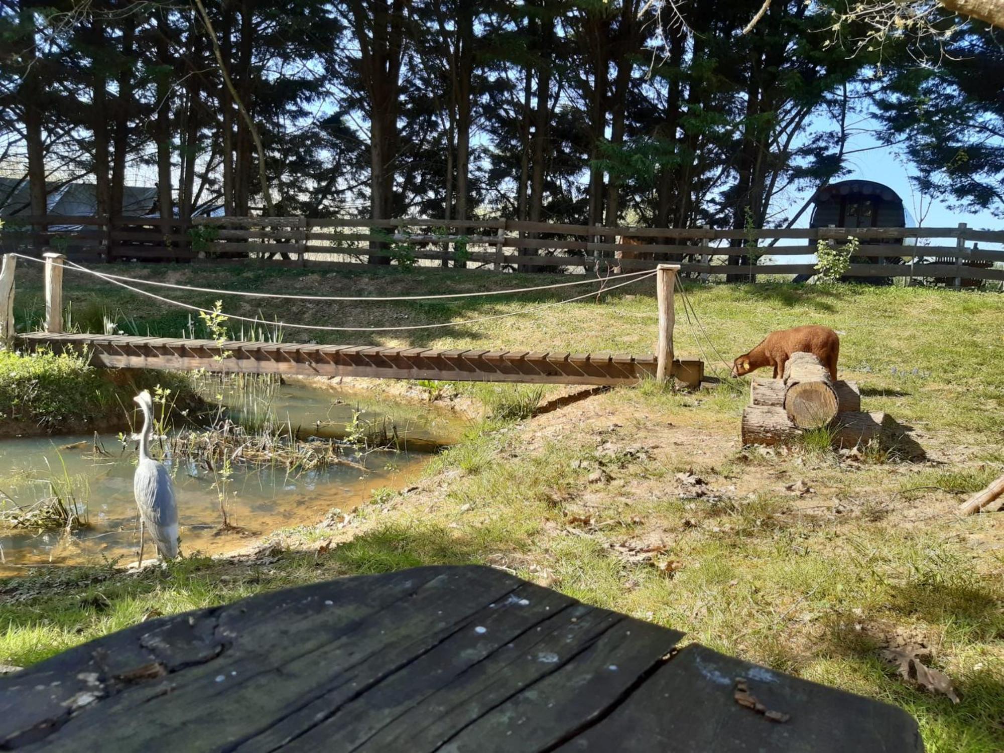 Saint-Vincent-en-Bresse Tente Trappeur Ada, Au Jardin De La Vouivre מראה חיצוני תמונה