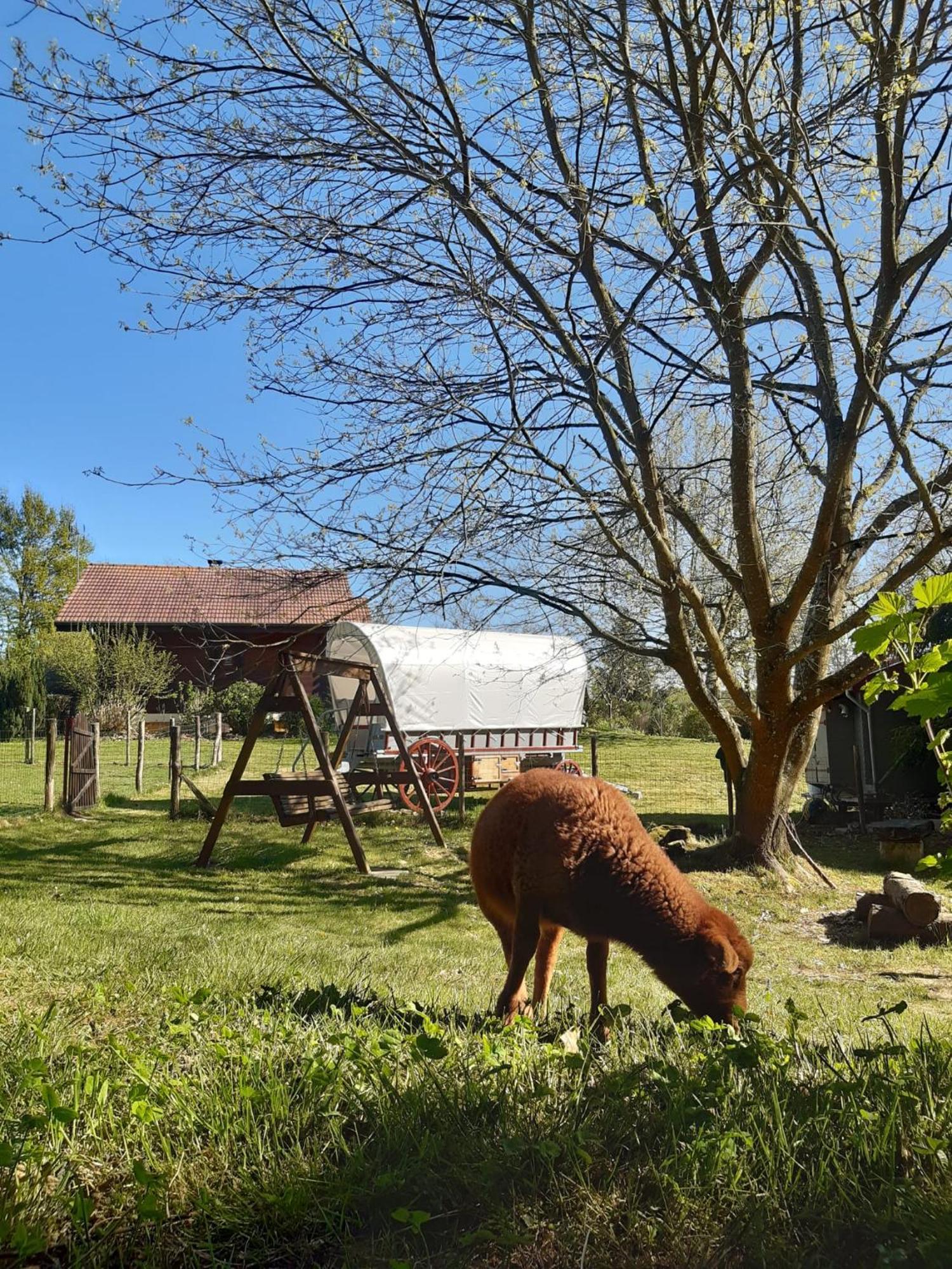 Saint-Vincent-en-Bresse Tente Trappeur Ada, Au Jardin De La Vouivre מראה חיצוני תמונה